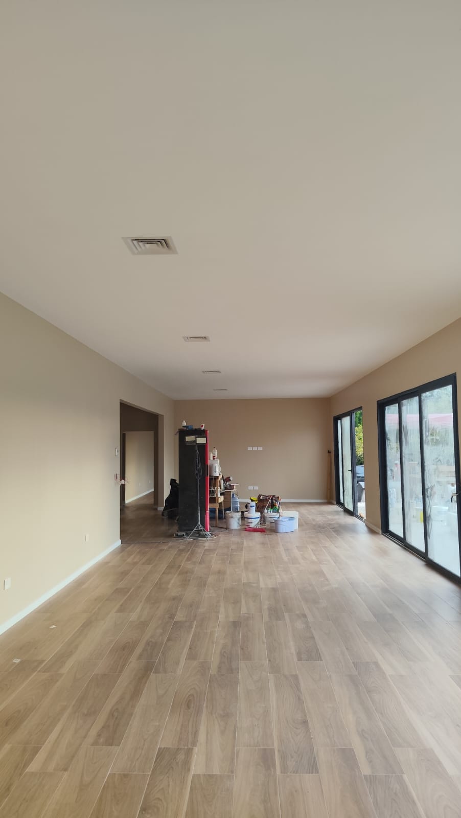 Living remodelado