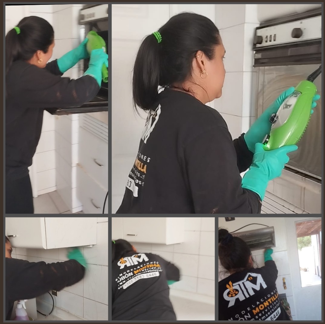 Servicio de limpieza RTM